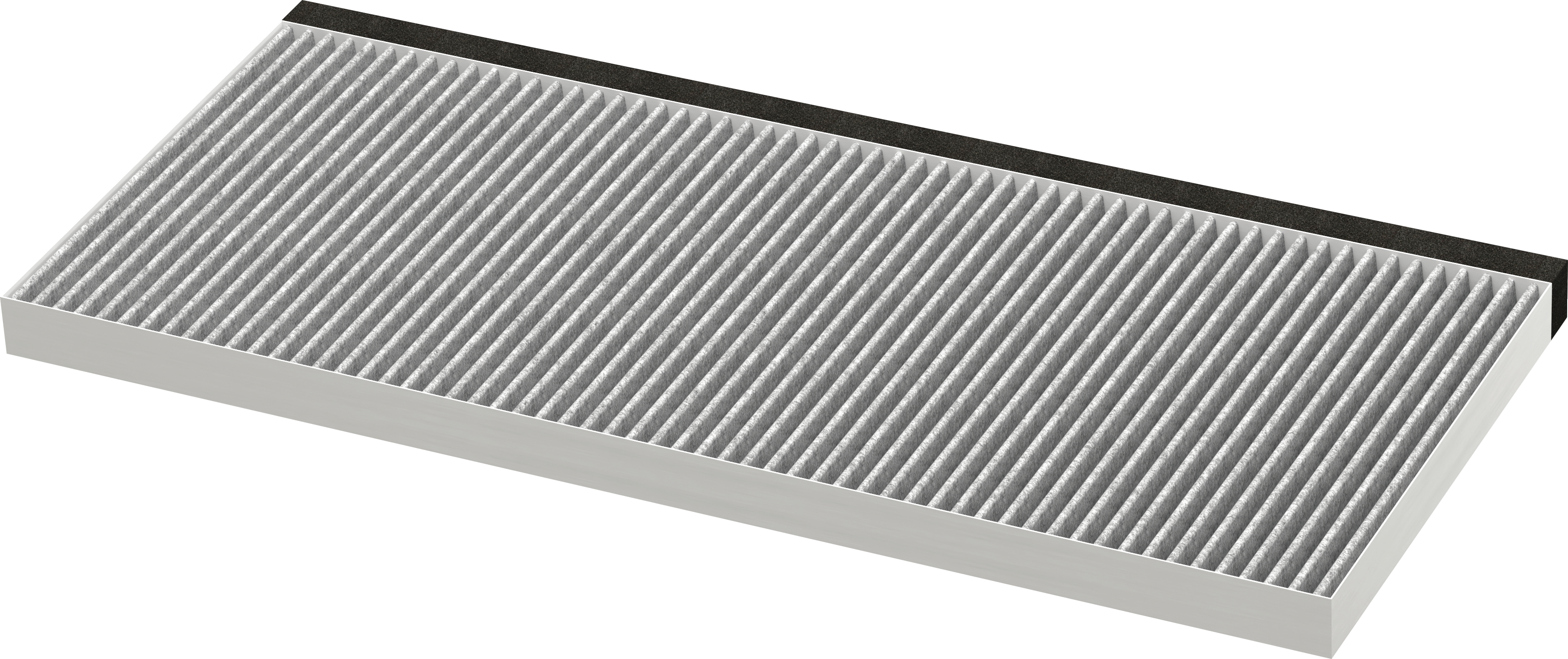 Clean Air Standard odor filter DWZ2IT1B4