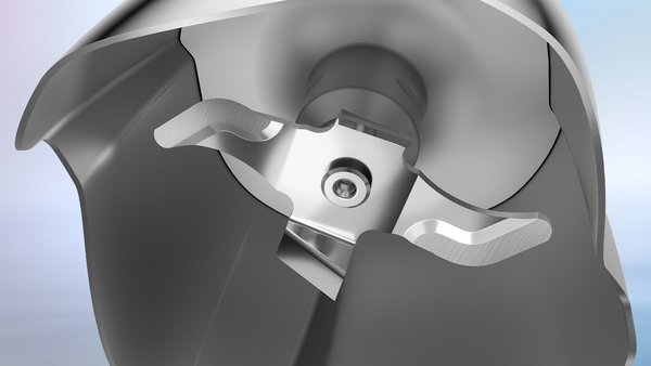 Series 6, Hand blender, ErgoMaster, 1000 W, Stainless steel, MSM6M633